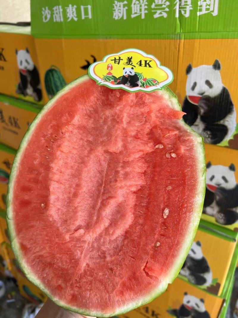 《精选》精品甘美4K西瓜江苏西瓜口感好糖度高视频看货