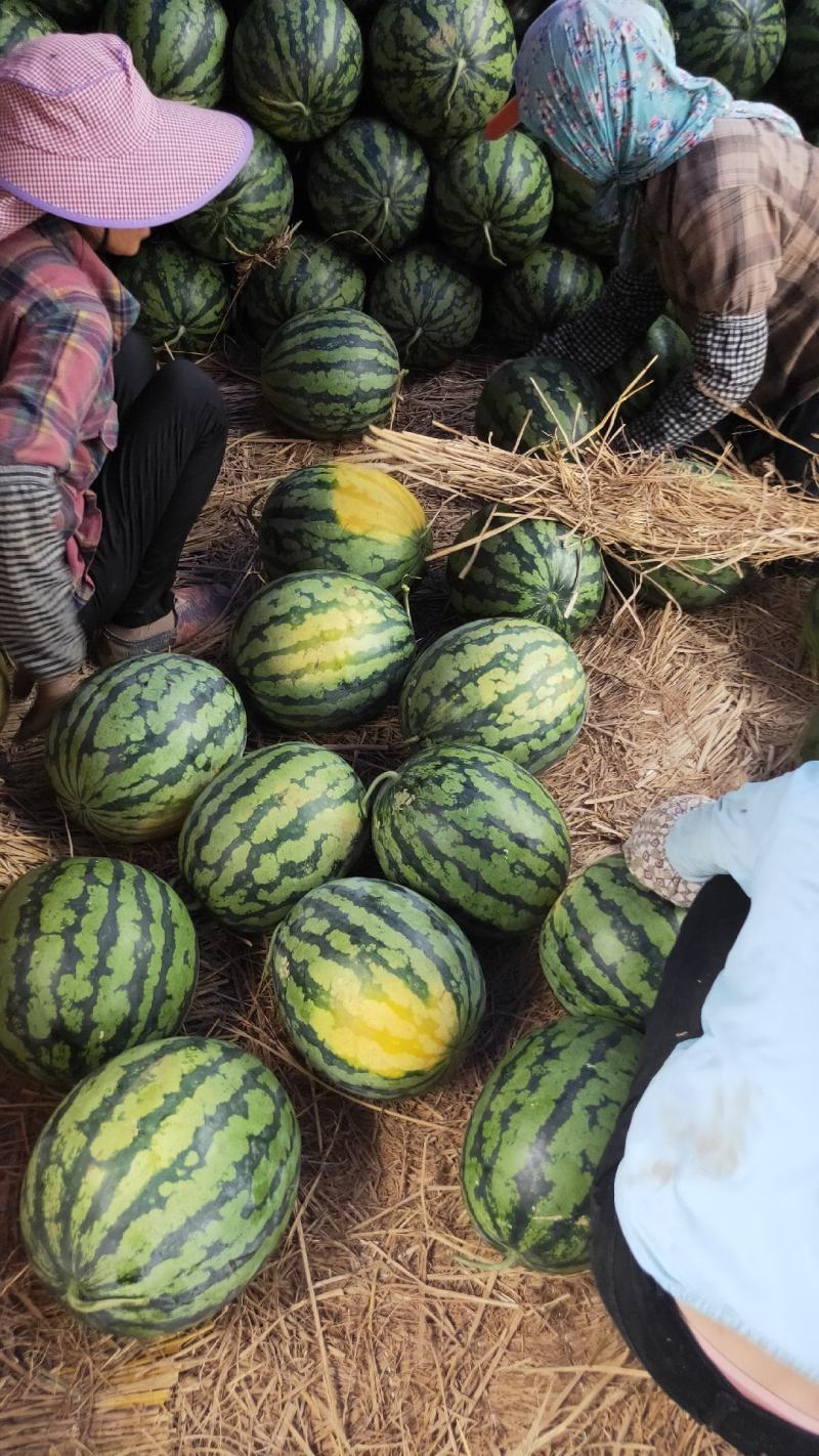 甜王西瓜，支持电商货市广西南宁市西瓜大量上市，货源稳定。