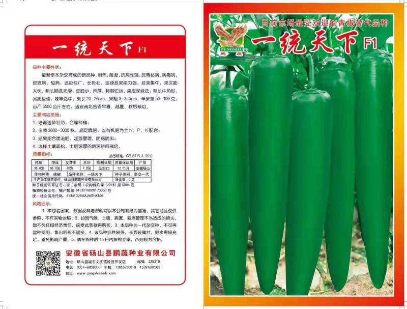 辣椒苗牛角椒