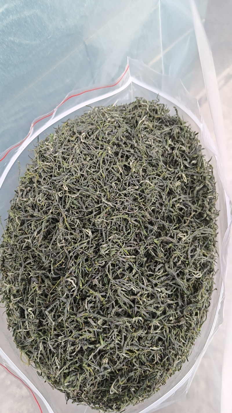 信阳毛尖口粮茶