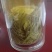 信阳毛尖口粮茶