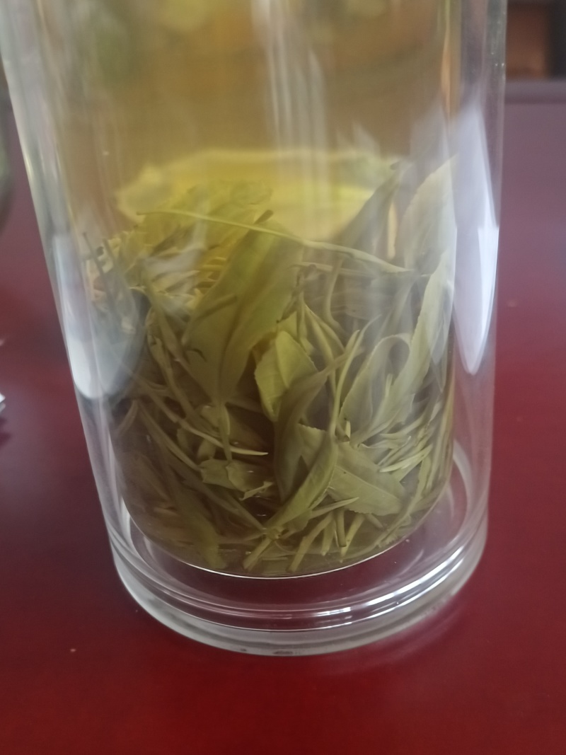 信阳毛尖口粮茶