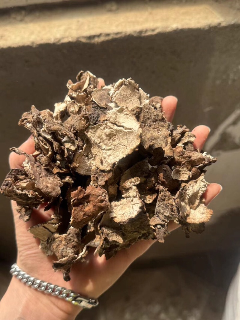 茯苓皮过筛货实拍无杂质茯苓皮