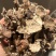 茯苓皮过筛货实拍无杂质茯苓皮