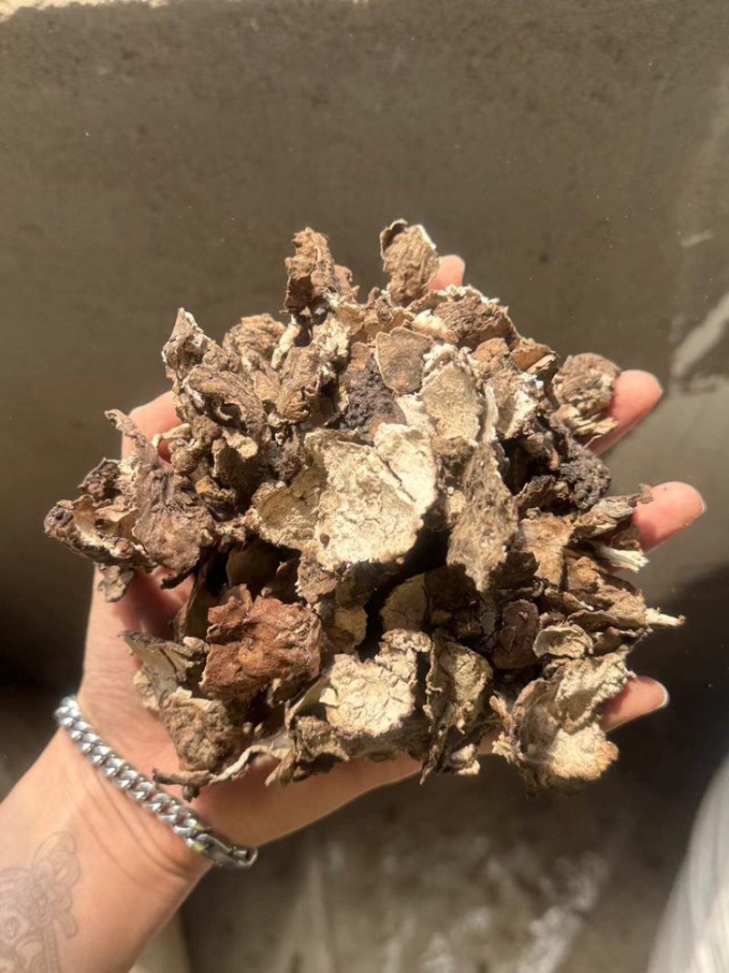 茯苓皮过筛货实拍无杂质茯苓皮