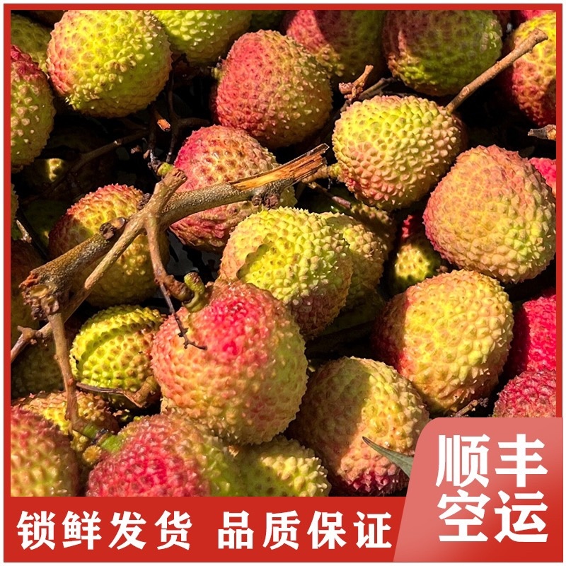海南妃子笑荔枝