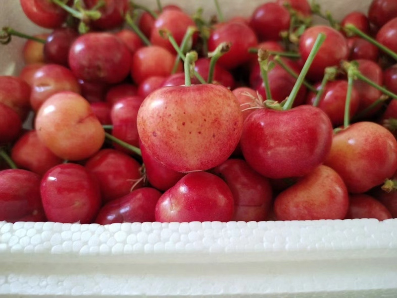 自制樱桃果酱成品图