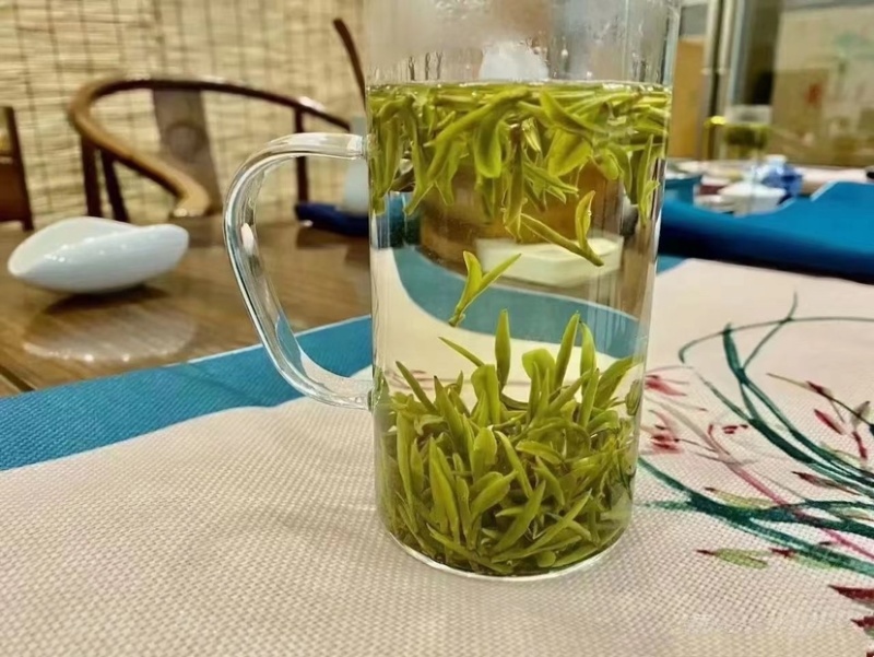 高山野茶