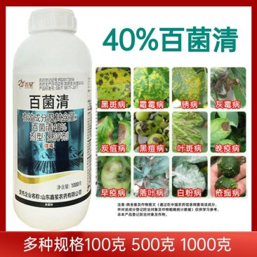鑫星百菌清40%早疫病晚疫病霜霉病灰霉病白粉病黑斑病落叶