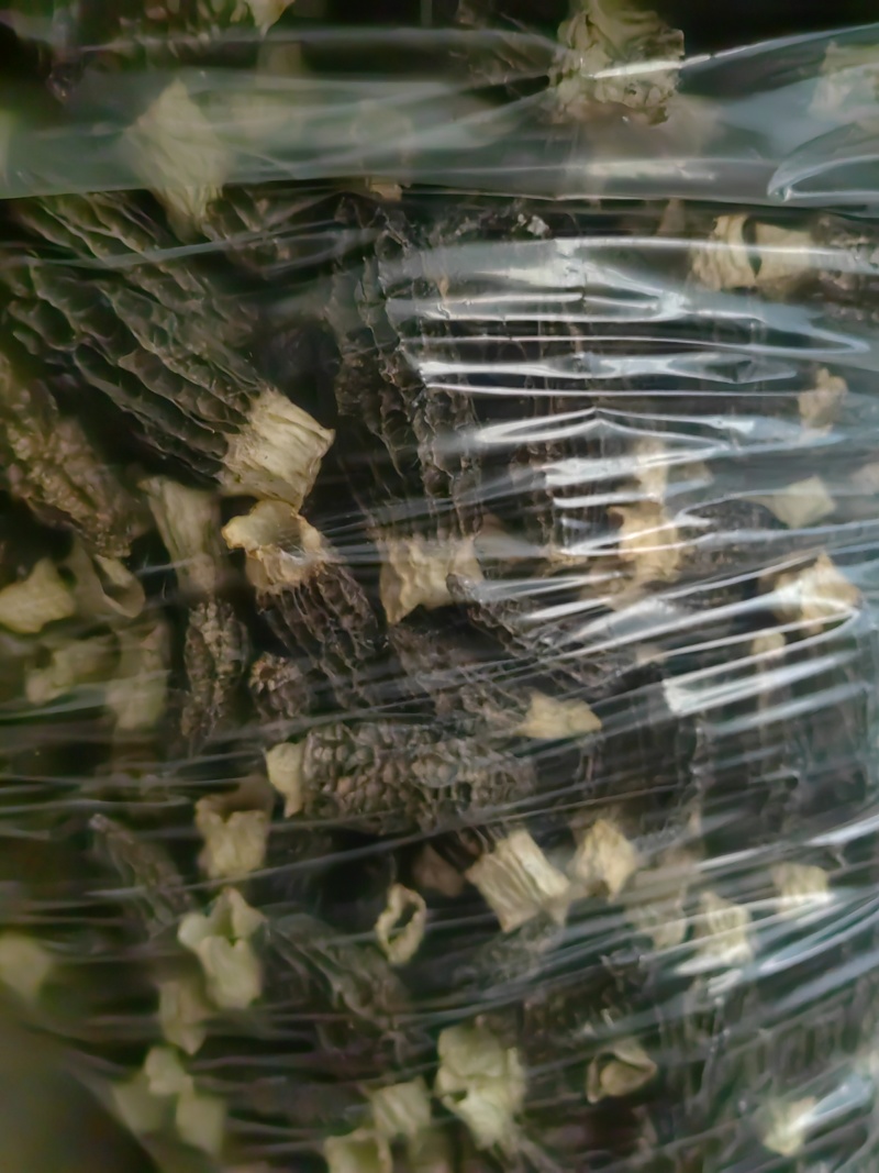 羊肚菌
