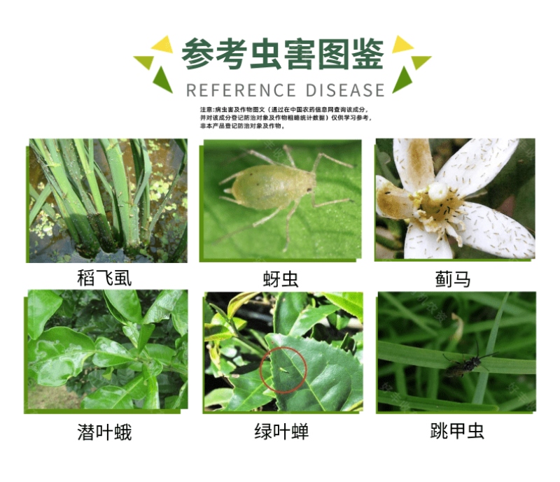 30%噻虫嗪水稻稻飞虱农药杀虫剂农用打虫药包邮正品