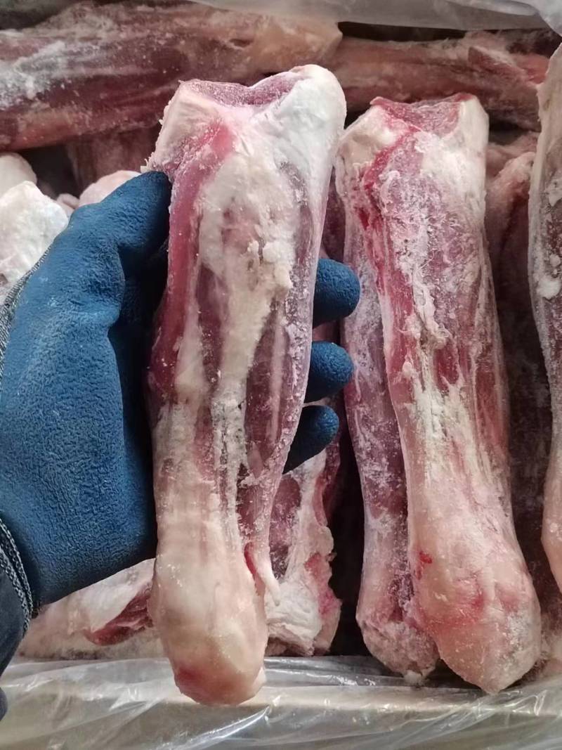 羊金刚羊小腿腾惠更多客户的选择全国接单中