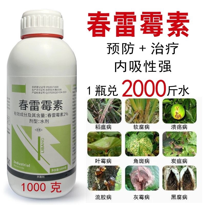 2%春雷霉素细菌性角斑病穿孔病软腐病流胶病