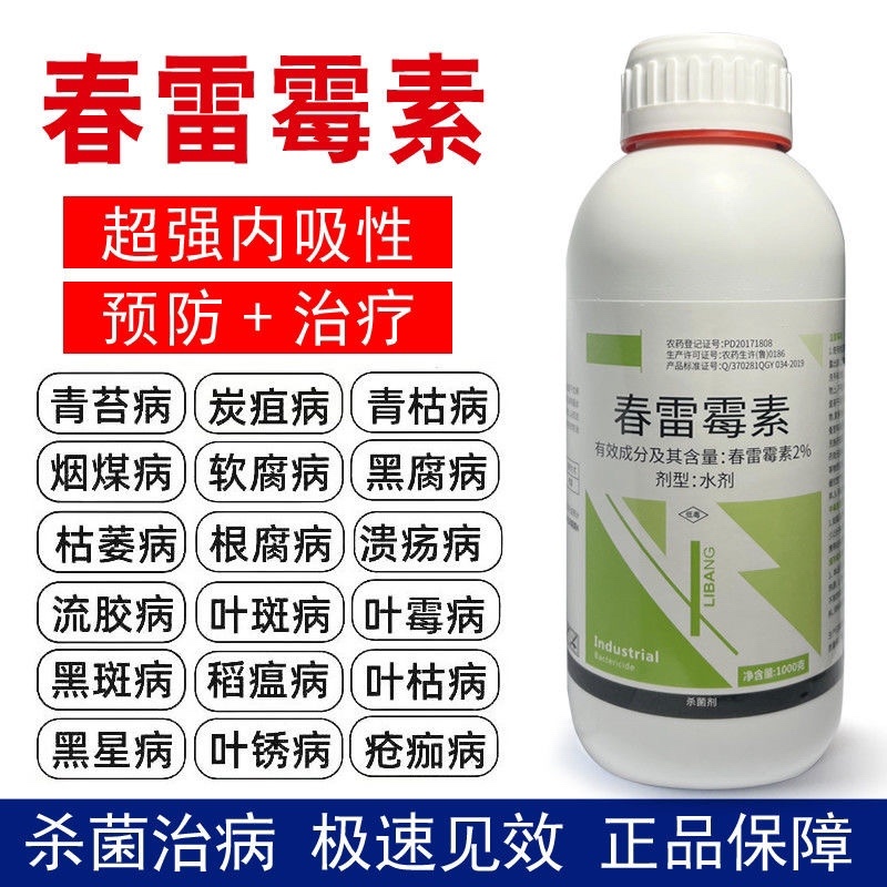 2%春雷霉素细菌性角斑病穿孔病软腐病流胶病