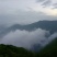 江西修水宁红功夫红茶深山茶叶高山茶叶