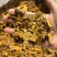 色姜黄姜黄非片姜黄色姜黄片实拍无杂质现货
