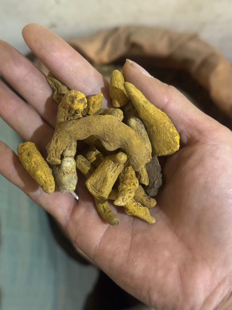 姜黄姜黄片实拍另有片姜黄姜黄个现货无杂质