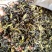高山茶潮汕浓香型诏安八仙茶叶土山茶潮汕高山茶福建新鲜袋装