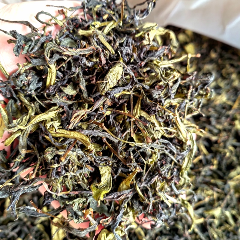 高山茶潮汕浓香型诏安八仙茶叶土山茶潮汕高山茶福建新鲜袋装