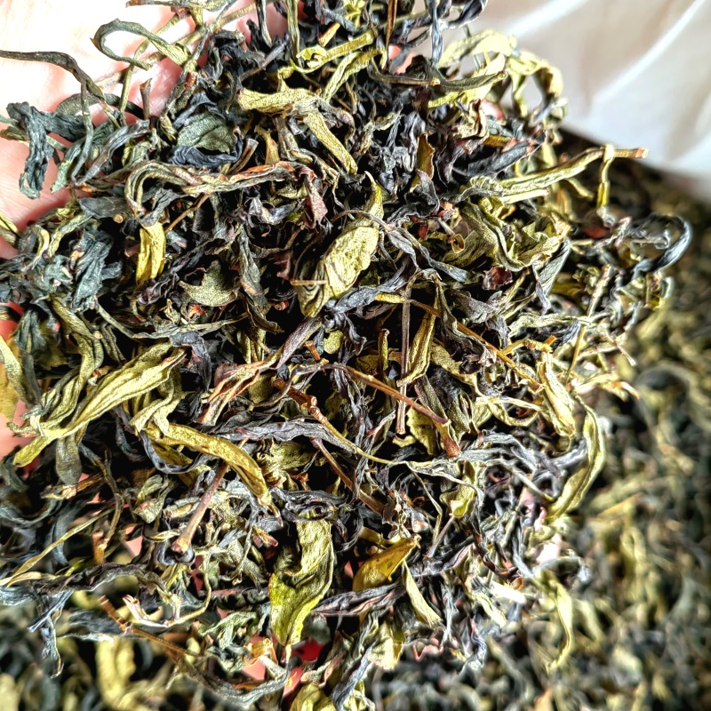 高山茶潮汕浓香型诏安八仙茶叶土山茶潮汕高山茶福建新鲜袋装