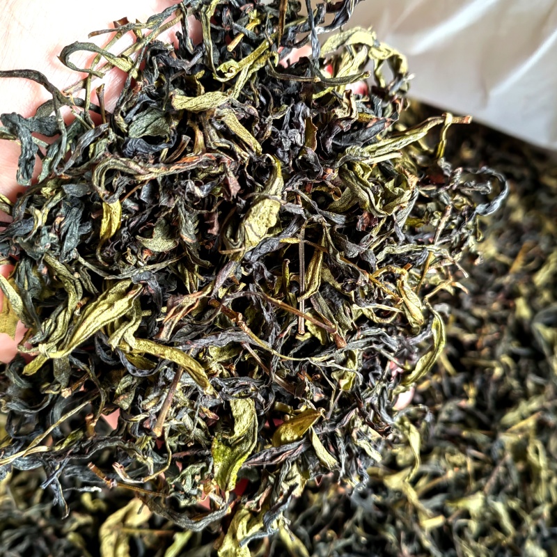 高山茶潮汕浓香型诏安八仙茶叶土山茶潮汕高山茶福建新鲜袋装
