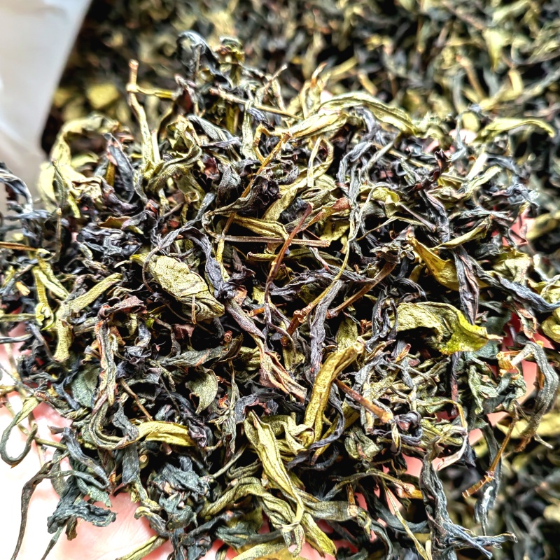 高山茶潮汕浓香型诏安八仙茶叶土山茶潮汕高山茶福建新鲜袋装