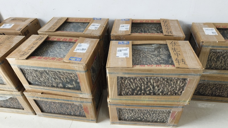 蚂蚱，自己的大型养殖场加工厂。纯青草喂养