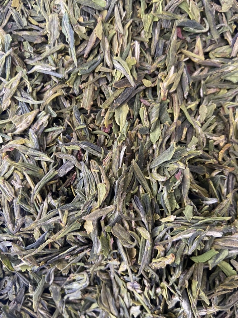 2024年新茶条形