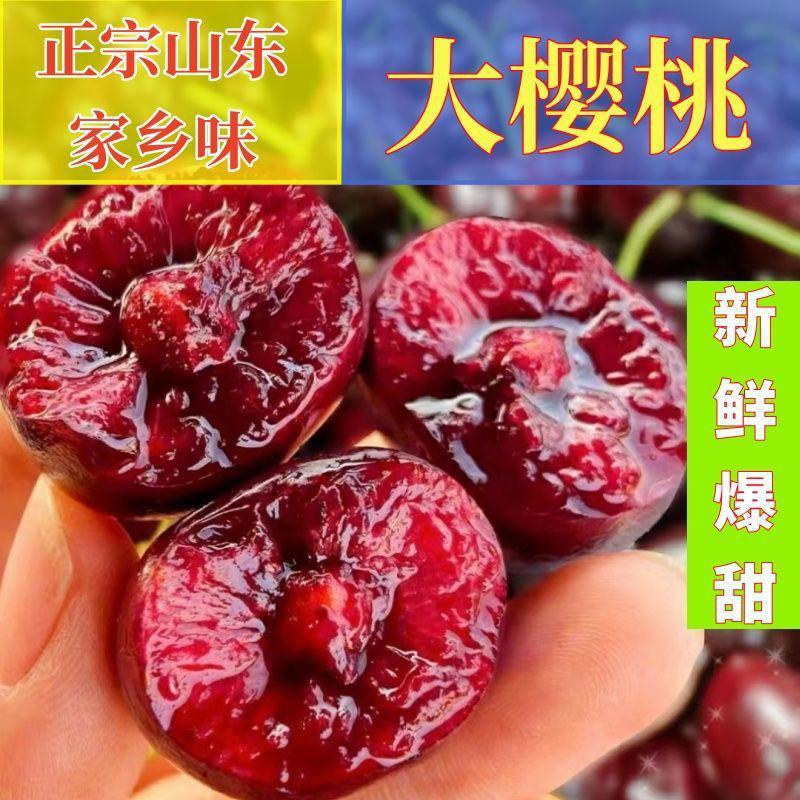 山东枣红大樱桃烟台正宗车厘子新鲜水果当季现摘现发国产樱桃