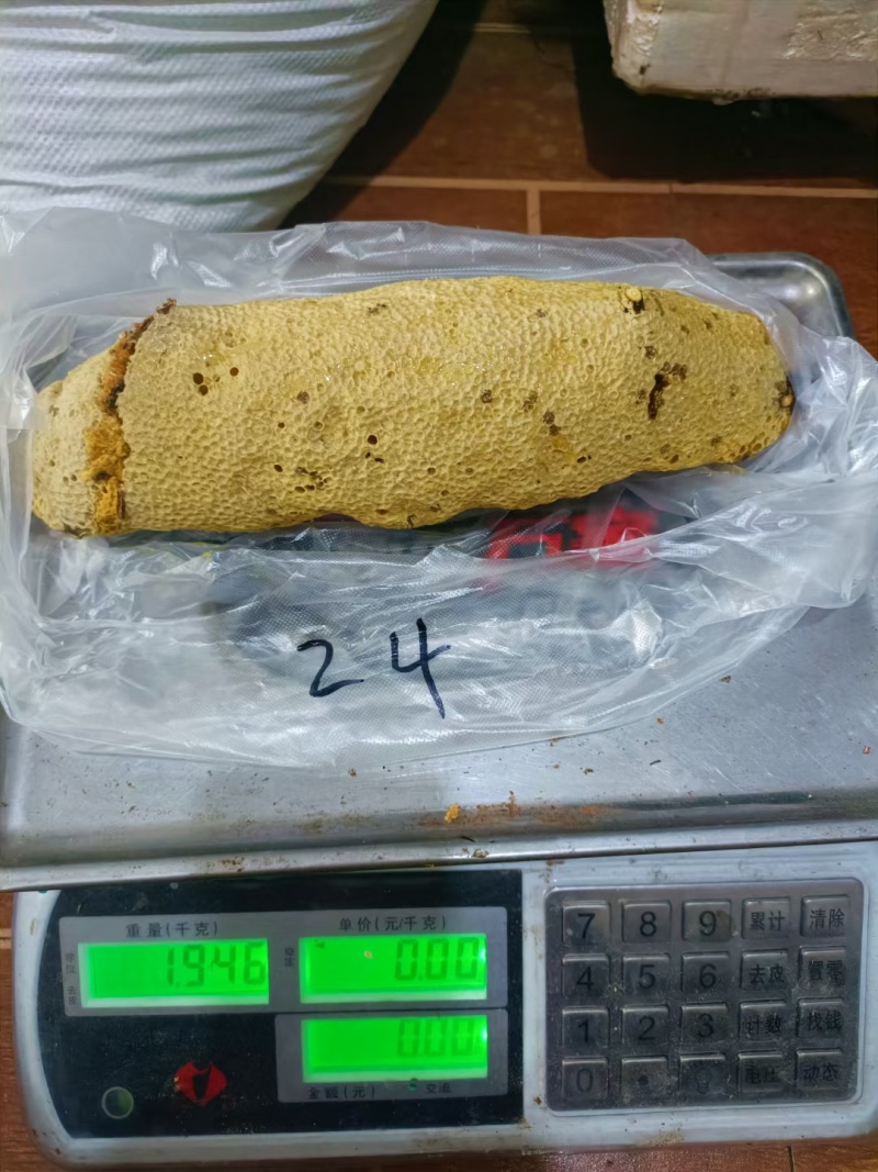 深山老林小挂蜜