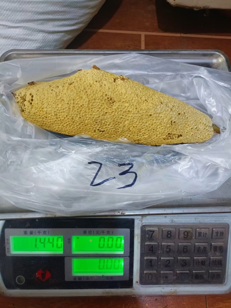 深山老林小挂蜜