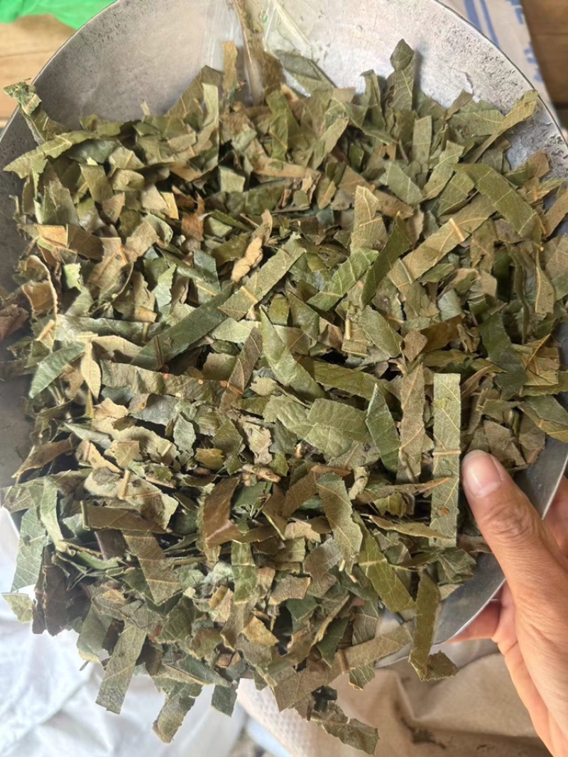 枇杷叶实拍另有制枇杷叶现货过筛货正品