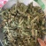 枇杷叶实拍另有制枇杷叶现货过筛货正品