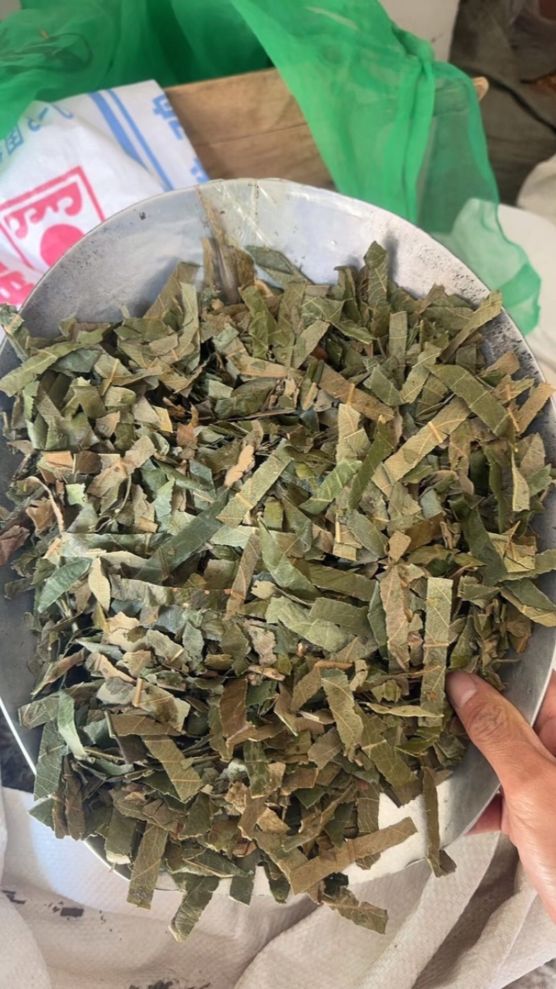 枇杷叶实拍另有制枇杷叶现货过筛货正品