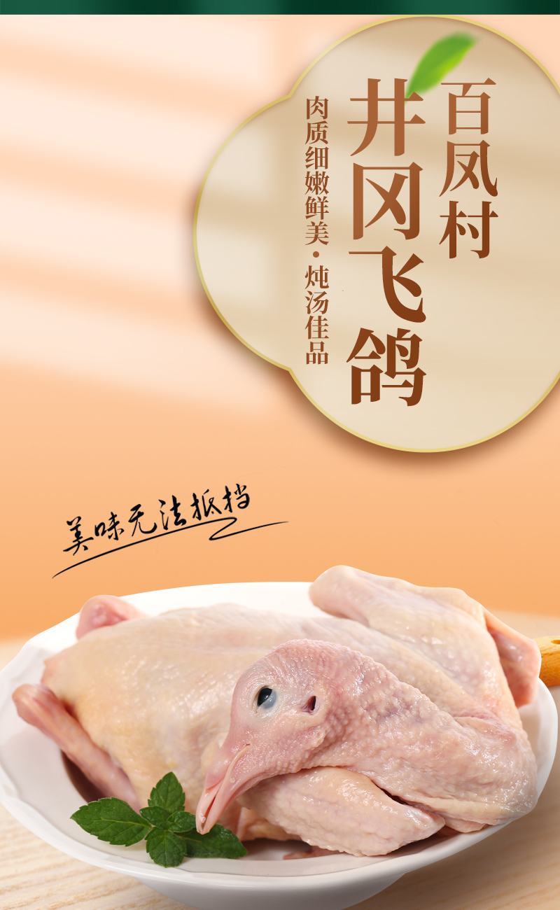 井冈飞鸽白条鸽乳鸽肉/肉质饱满资质齐全/厂家直发全国包邮