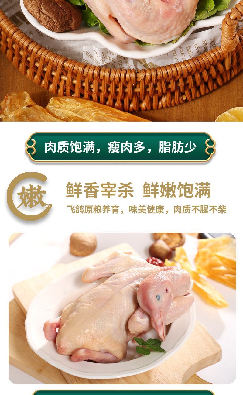 井冈飞鸽白条鸽乳鸽肉/肉质饱满资质齐全/厂家直发全国包邮