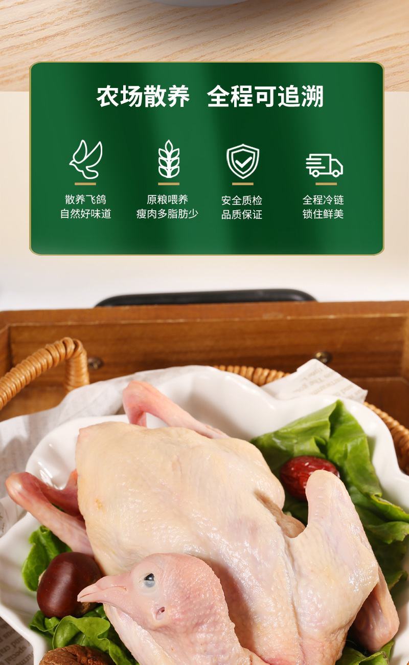井冈飞鸽白条鸽乳鸽肉/肉质饱满资质齐全/厂家直发全国包邮
