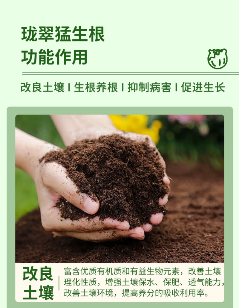 生根剂壮苗剂含氨基酸水溶生根剂促进生根剂