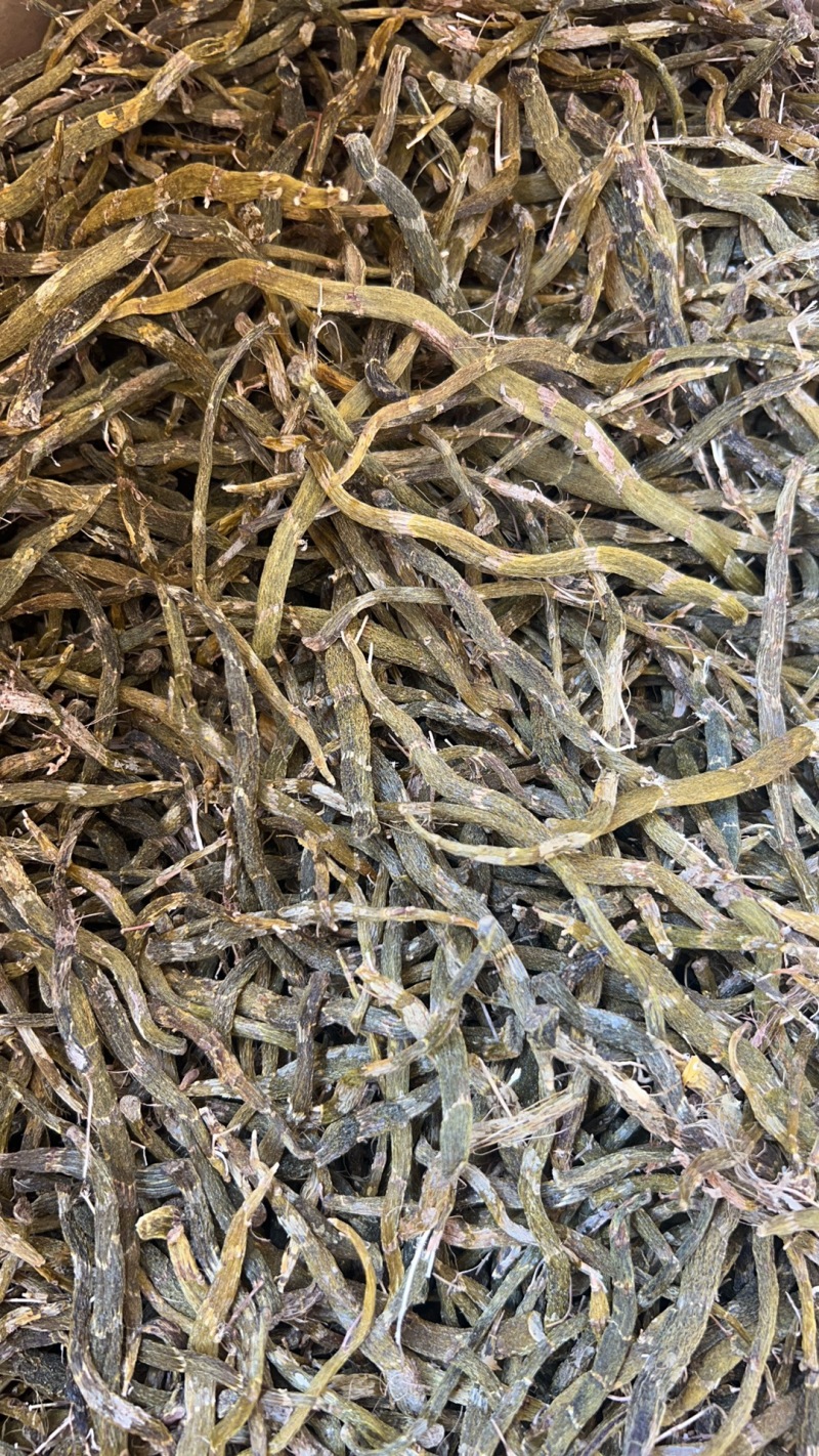 珍虫石斛干条云南土特产精选大粗条甄选送礼养生泡茶