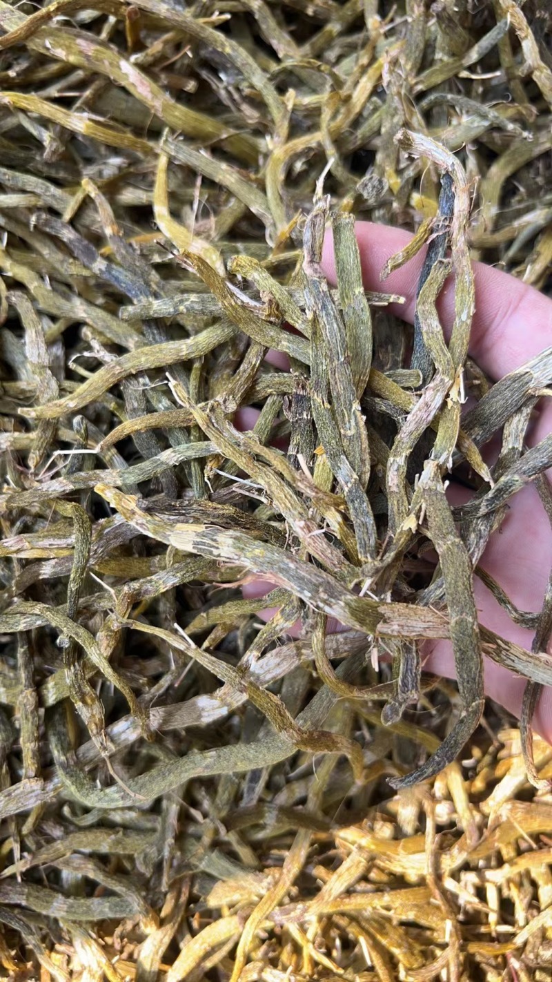 珍虫石斛干条云南土特产精选大粗条甄选送礼养生泡茶