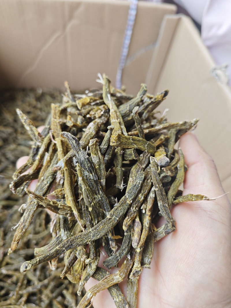 珍虫石斛干条云南土特产精选大粗条甄选送礼养生泡茶