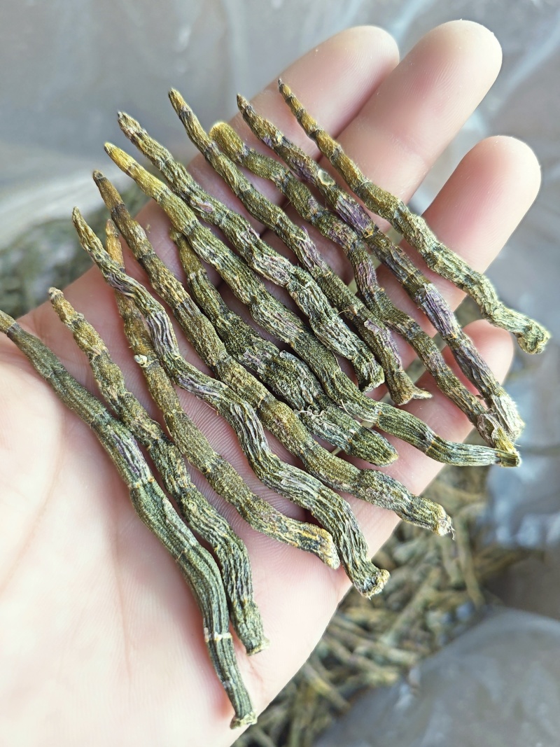 铁皮石斛干条铁皮石五年生胶质饱满无渣云南铁皮石斛