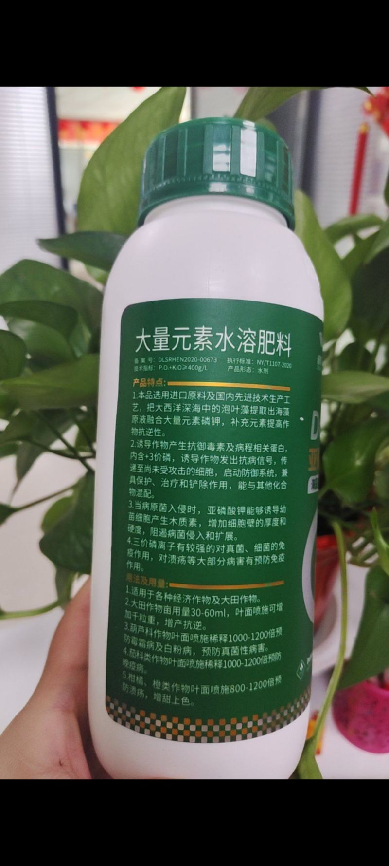 亚磷酸钾叶面肥控梢苹果柑橘，果树蔬菜高钾，高磷花芽分化