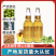青岛崂特纯酿金啤酒500ml*12瓶装整箱，纯崂山水酿造