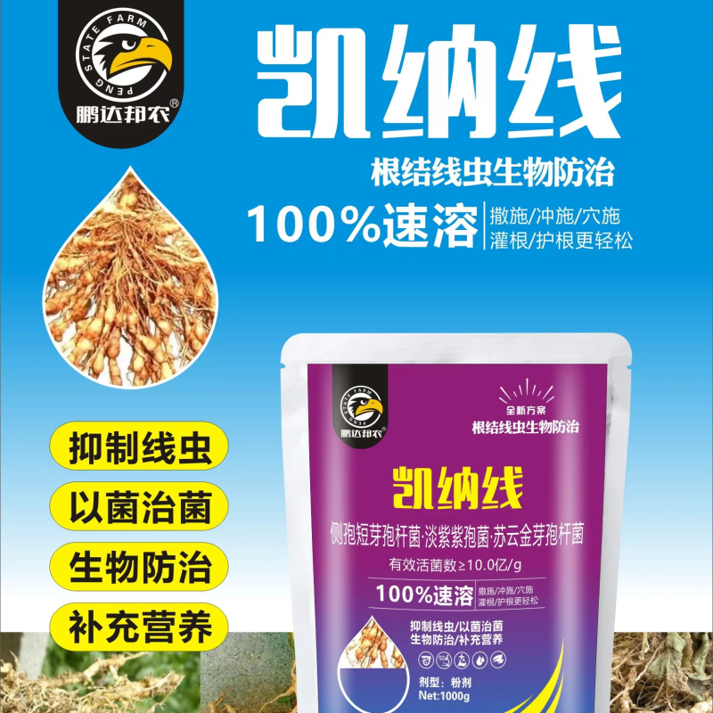 治疗预防根结线虫，侧跑短芽跑杆菌淡紫紫泡菌苏云金芽跑杆菌