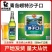 崂特沙子口啤酒500ml*12瓶装正宗崂山原产地