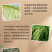 春雷霉素6%抗菌素魔芋软腐柑橘溃疡水稻稻瘟黄瓜角斑病杀菌