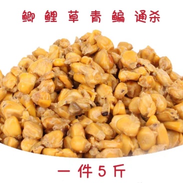 发酵玉米鱼饵料