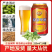 青岛崂特啤酒红原浆330mlX24罐黄啤崂山水酿造