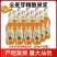 青岛蓝宝石精酿原浆浑浊型全麦白啤酒500mlx12瓶全麦